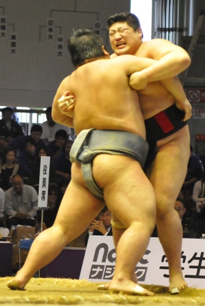 2011.11.sumou.jpg