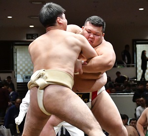201812-sumo.jpg
