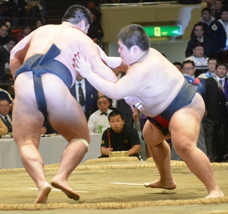 相撲全日本.jpg